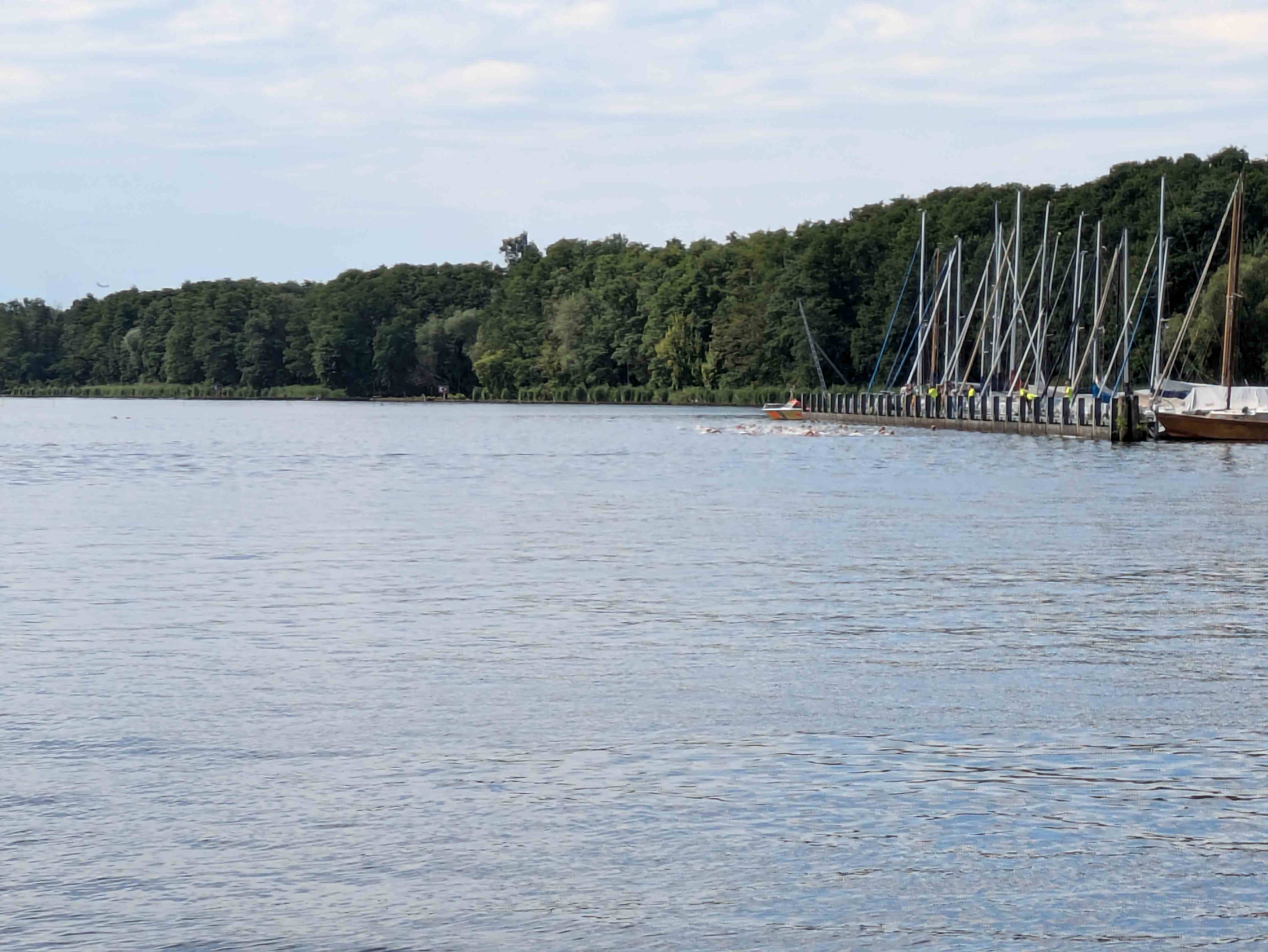 MS_2024_03